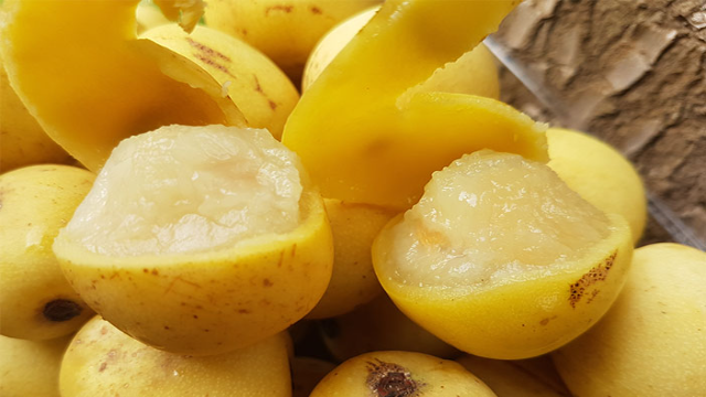 8 Manfaat Buah Marula untuk Kesehatan